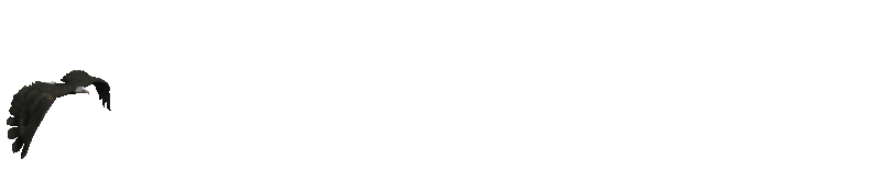 400x300