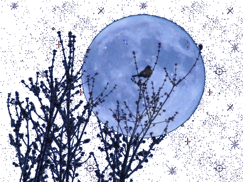 http://domania.us/Oaccess/BACKS/Blue-Sky-100x100.jpg=http://domania.us/Oaccess/FX/Bird-Tree-Moon-TP-1024x768.gif-http://domania.us/Oaccess/FX/Bird-Tree-Moon-midnightblue-800x600.gif-http://domania.us/Oaccess/FX/Bird-Tree-Moon-TP-1024x768.gif-http://domania.us/Oaccess/FX/Bird-Tree-Moon-TP-800x600.gif