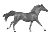 100x68