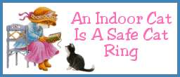 An Indoor Cat, Is A Safe Cat Ring