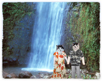 Manoa Falls