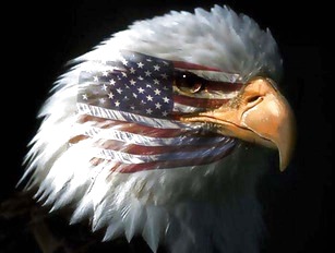 Photo of American Eagle