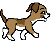 Photo of  Walking Brown Dog