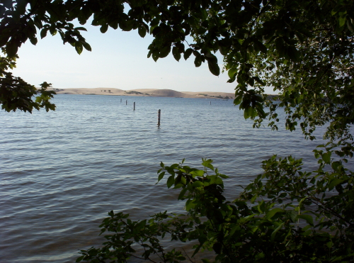  Sand dunes at Silver Lake State park in Oceana County, MI 